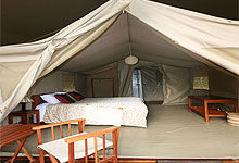Wildebeest Camp Double Bed Tent in Nairobi, Kenya 