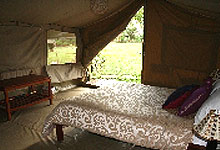 Wildebeest Camp Double Room Nairobi, Kenya 