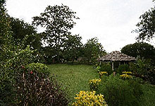 Wildebeest Camp Grassy Garden Nairobi, Kenya 