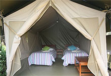 Wildebeest Camp Tent in Nairobi Kenya 
