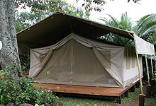 Wildebeest Camp Tent in Nairobi Kenya 