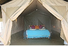 Wildebeest Camp Nairobi 
