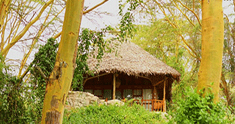 Wileli House Naivasha