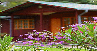 Wileli House Naivasha