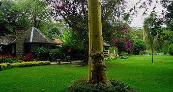 Wileli House Naivasha