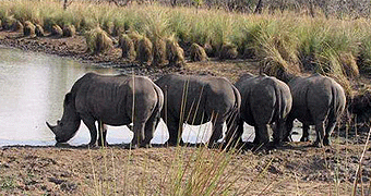 Ziwa Rhino Sanctuary